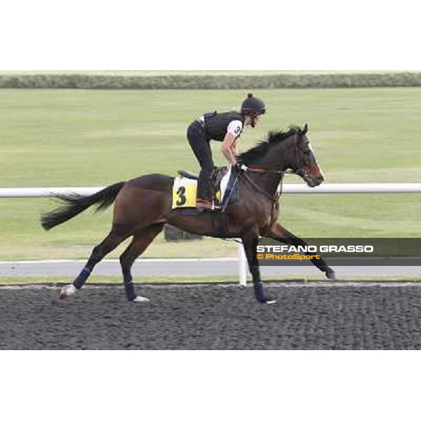 Wigmore Hall during morning track works at Meydan Dubai, 28th march 2012 ph.Stefano Grasso