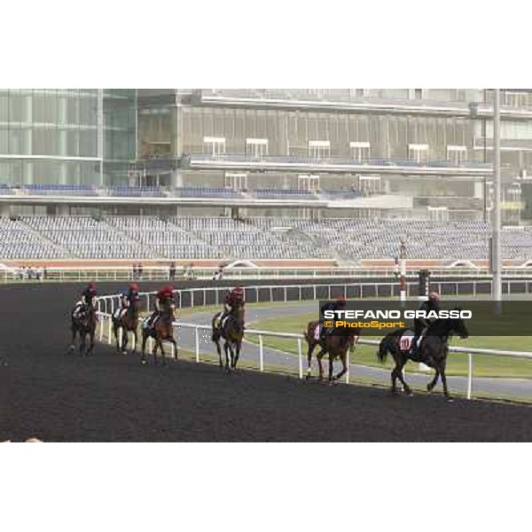 So You Think leads the Aidan O\'Brien team during morning track works at Meydan Dubai, 28th march 2012 ph.Stefano Grasso