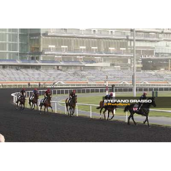 So You Think leads the Aidan O\'Brien team during morning track works at Meydan Dubai, 28th march 2012 ph.Stefano Grasso