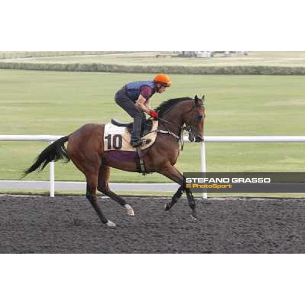 morning track works at Meydan Dubai, 28th march 2012 ph.Stefano Grasso