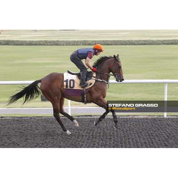 morning track works at Meydan Dubai, 28th march 2012 ph.Stefano Grasso