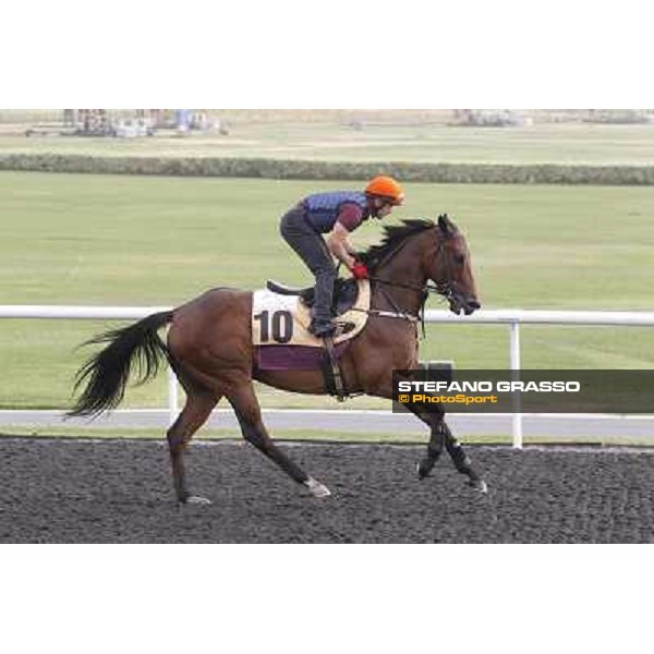 morning track works at Meydan Dubai, 28th march 2012 ph.Stefano Grasso