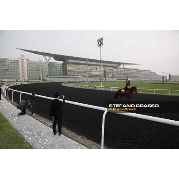 morning track works at Meydan Dubai, 28th march 2012 ph.Stefano Grasso