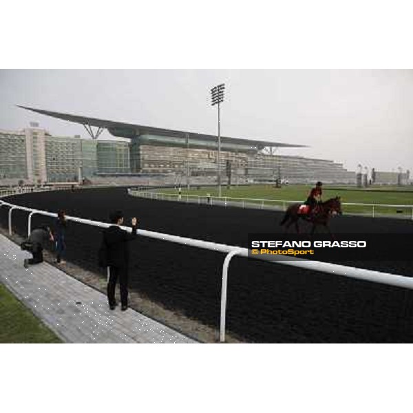 morning track works at Meydan Dubai, 28th march 2012 ph.Stefano Grasso