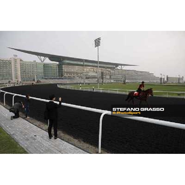 morning track works at Meydan Dubai, 28th march 2012 ph.Stefano Grasso