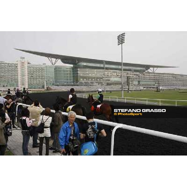 morning track works at Meydan Dubai, 28th march 2012 ph.Stefano Grasso