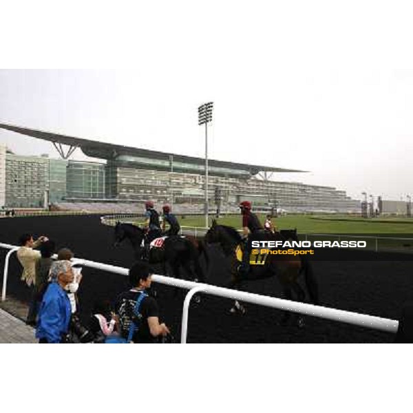 morning track works at Meydan Dubai, 28th march 2012 ph.Stefano Grasso