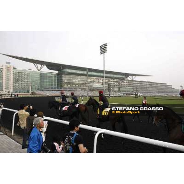 morning track works at Meydan Dubai, 28th march 2012 ph.Stefano Grasso