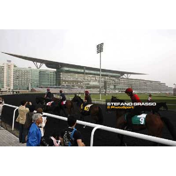 morning track works at Meydan Dubai, 28th march 2012 ph.Stefano Grasso