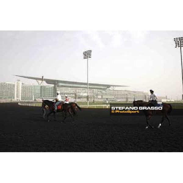 morning track works at Meydan Dubai, 28th march 2012 ph.Stefano Grasso