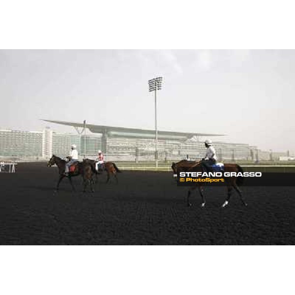 morning track works at Meydan Dubai, 28th march 2012 ph.Stefano Grasso