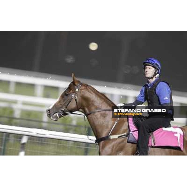 Helmet during morning track works at Meydan Dubai, 28th march 2012 ph.Stefano Grasso