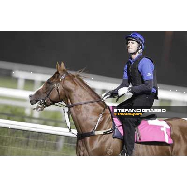 Helmet during morning track works at Meydan Dubai, 28th march 2012 ph.Stefano Grasso