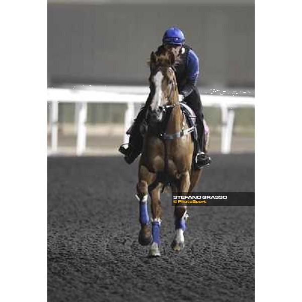 Helmet during morning track works at Meydan Dubai, 28th march 2012 ph.Stefano Grasso