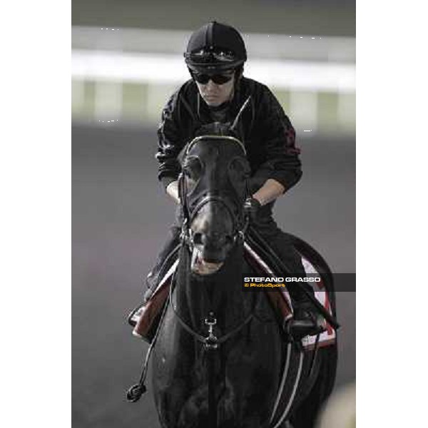 Einshin Flash during morning track works at Meydan Dubai, 28th march 2012 ph.Stefano Grasso