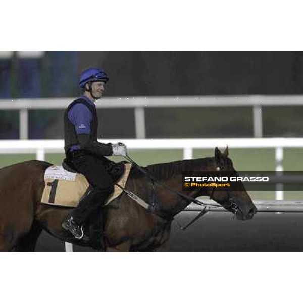 Sepoy during morning track works at Meydan Dubai, 28th march 2012 ph.Stefano Grasso