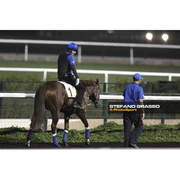 Sepoy during morning track works at Meydan Dubai, 28th march 2012 ph.Stefano Grasso