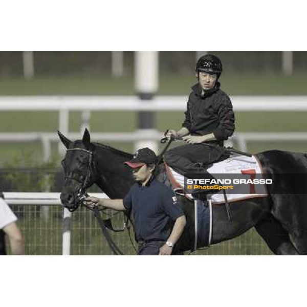 Einshin Flash during morning track works at Meydan Dubai, 28th march 2012 ph.Stefano Grasso