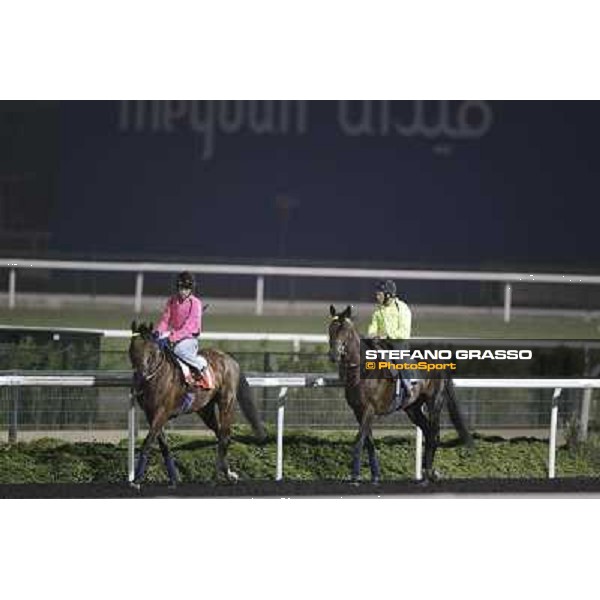 Joshua Tree and Jakkalberry during morning track works at Meydan Dubai, 28th march 2012 ph.Stefano Grasso
