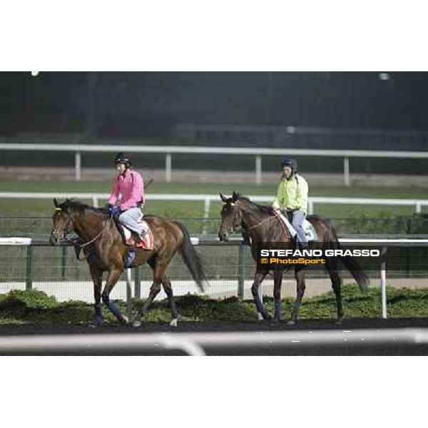 Joshua Tree and Jakkalberry during morning track works at Meydan Dubai, 28th march 2012 ph.Stefano Grasso