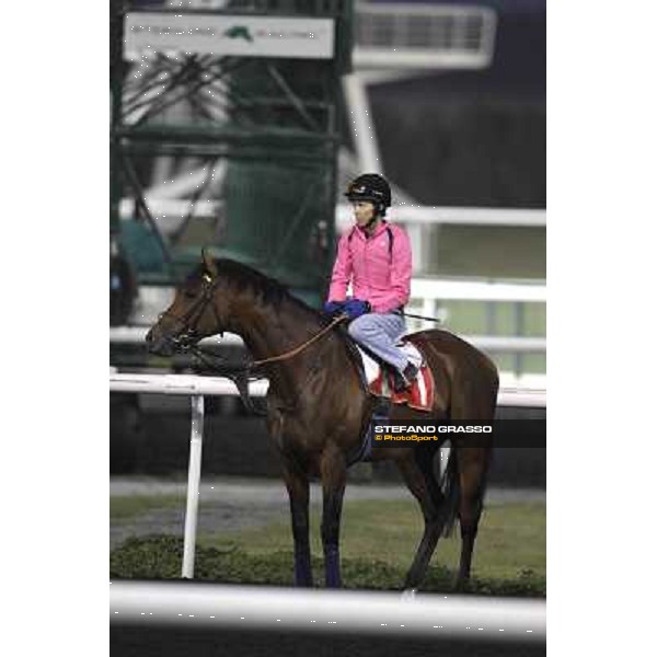 morning track works at Meydan Dubai, 28th march 2012 ph.Stefano Grasso