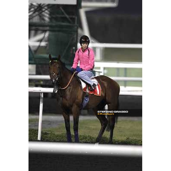 morning track works at Meydan Dubai, 28th march 2012 ph.Stefano Grasso