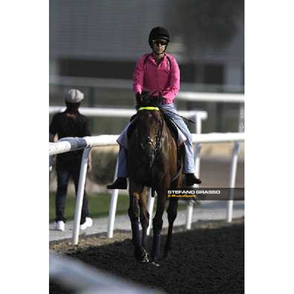 morning track works at Meydan Dubai, 28th march 2012 ph.Stefano Grasso