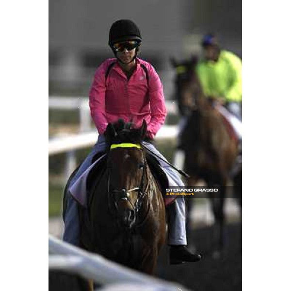 morning track works at Meydan Dubai, 28th march 2012 ph.Stefano Grasso