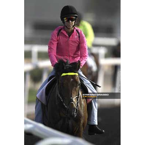 morning track works at Meydan Dubai, 28th march 2012 ph.Stefano Grasso