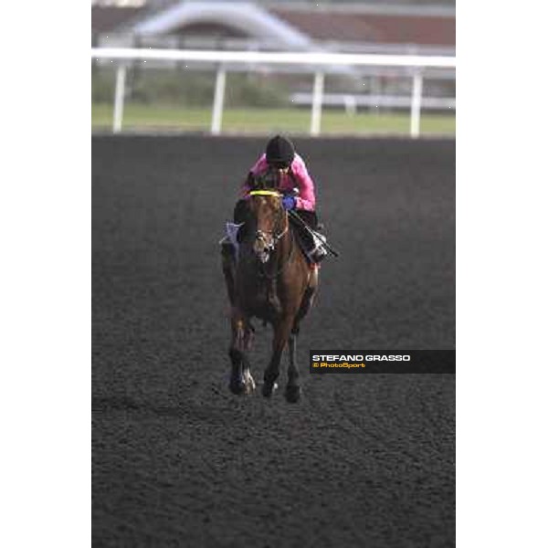 morning track works at Meydan Dubai, 28th march 2012 ph.Stefano Grasso