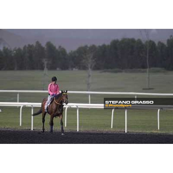 morning track works at Meydan Dubai, 28th march 2012 ph.Stefano Grasso