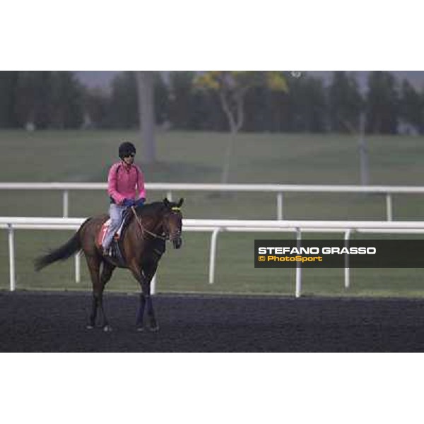 morning track works at Meydan Dubai, 28th march 2012 ph.Stefano Grasso