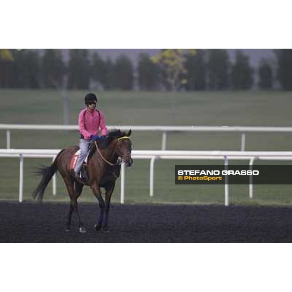 morning track works at Meydan Dubai, 28th march 2012 ph.Stefano Grasso