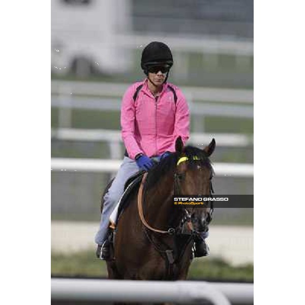 morning track works at Meydan Dubai, 28th march 2012 ph.Stefano Grasso