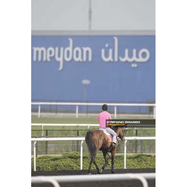 morning track works at Meydan Dubai, 28th march 2012 ph.Stefano Grasso