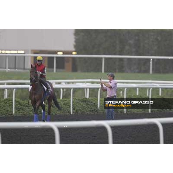 Game on Dude during morning track works at Meydan Dubai, 28th march 2012 ph.Stefano Grasso