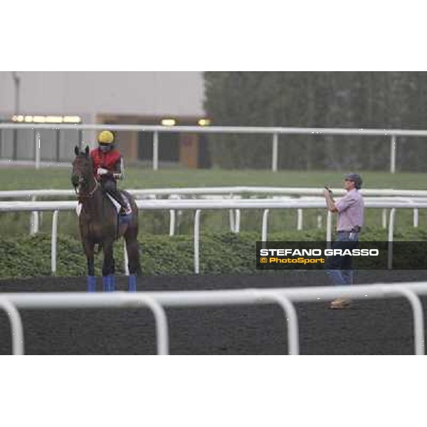 Game on Dude during morning track works at Meydan Dubai, 28th march 2012 ph.Stefano Grasso