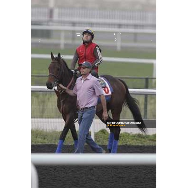 Game on Dude during morning track works at Meydan Dubai, 28th march 2012 ph.Stefano Grasso