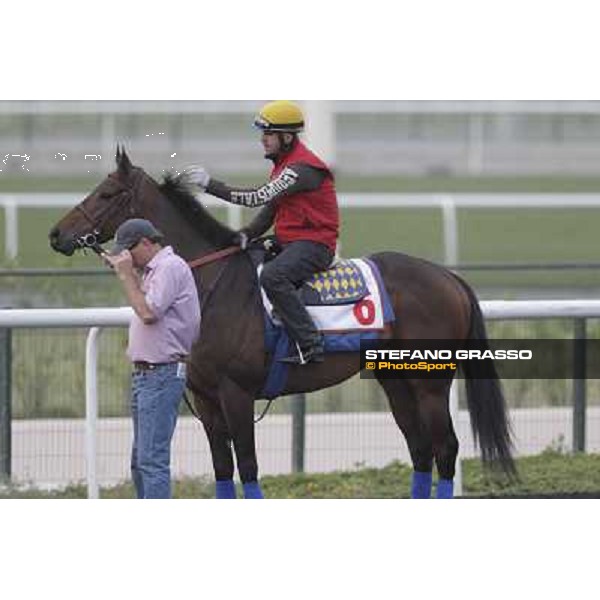 Game on Dude during morning track works at Meydan Dubai, 28th march 2012 ph.Stefano Grasso