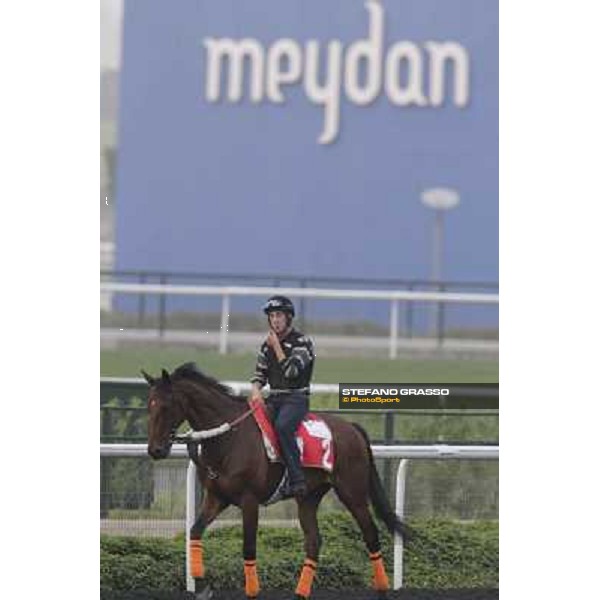 morning track works at Meydan Dubai, 28th march 2012 ph.Stefano Grasso