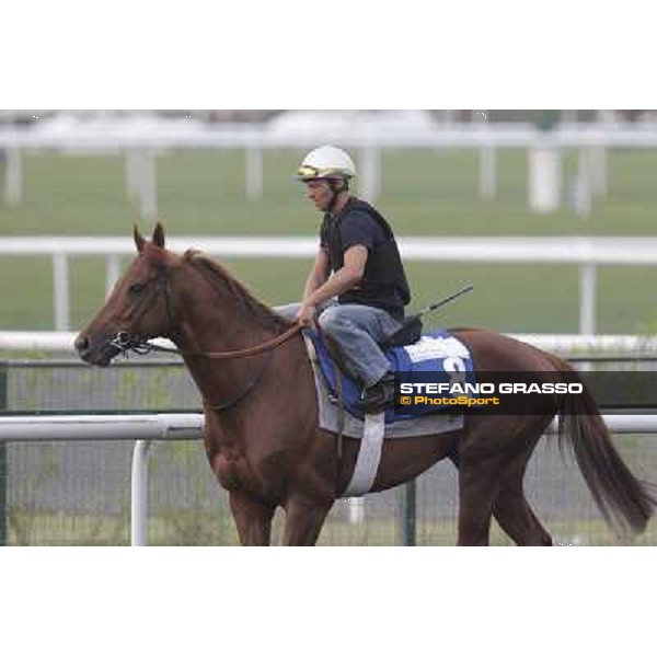 morning track works at Meydan Dubai, 28th march 2012 ph.Stefano Grasso