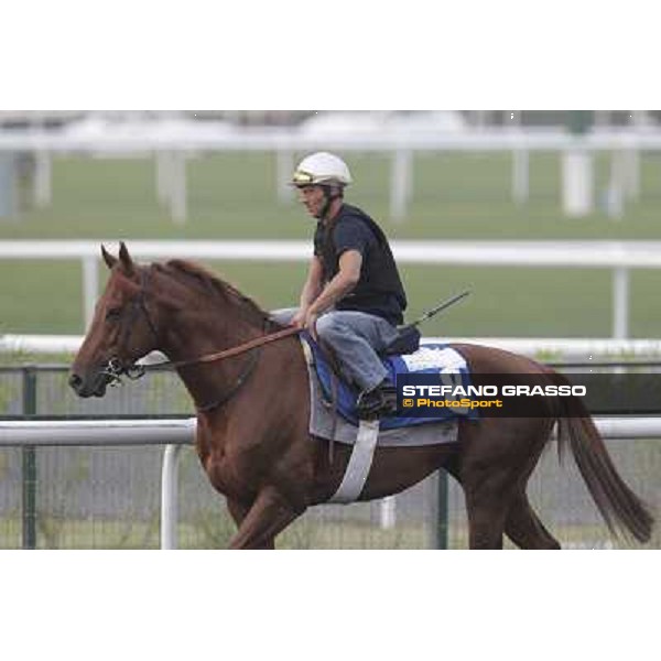 morning track works at Meydan Dubai, 28th march 2012 ph.Stefano Grasso