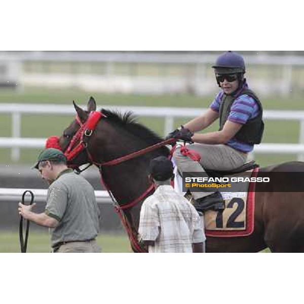 morning track works at Meydan Dubai, 28th march 2012 ph.Stefano Grasso