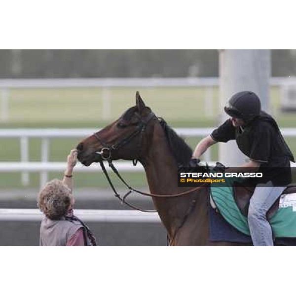 Cirrus des Aigles during morning track works at Meydan Dubai, 28th march 2012 ph.Stefano Grasso