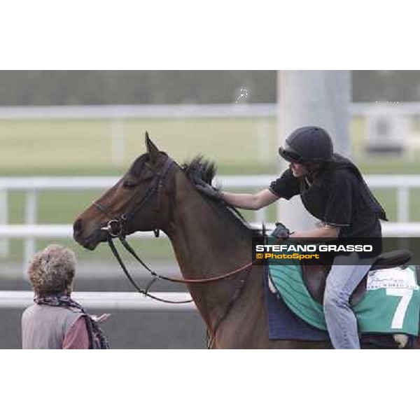 Cirrus des Aigles during morning track works at Meydan Dubai, 28th march 2012 ph.Stefano Grasso