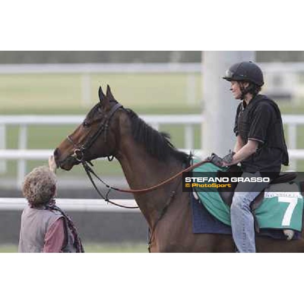 Cirrus des Aigles during morning track works at Meydan Dubai, 28th march 2012 ph.Stefano Grasso