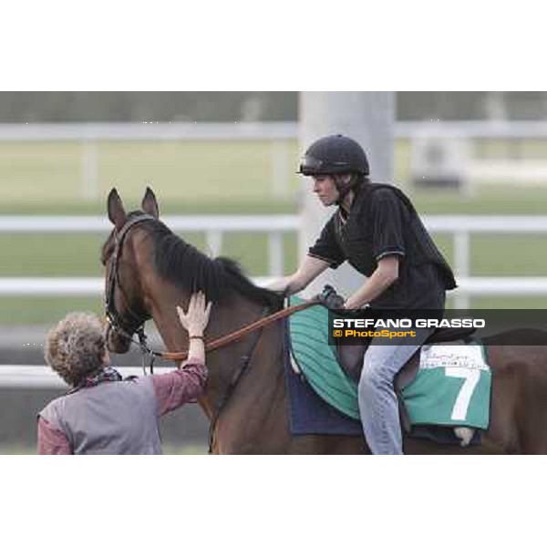 Cirrus des Aigles during morning track works at Meydan Dubai, 28th march 2012 ph.Stefano Grasso