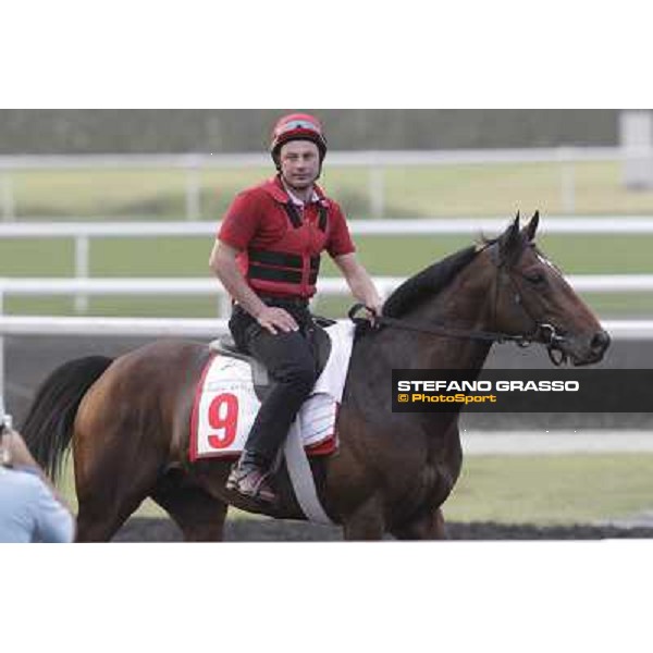 morning track works at Meydan Dubai, 28th march 2012 ph.Stefano Grasso