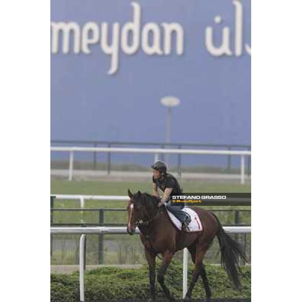 Transcend during morning track works at Meydan Dubai, 28th march 2012 ph.Stefano Grasso