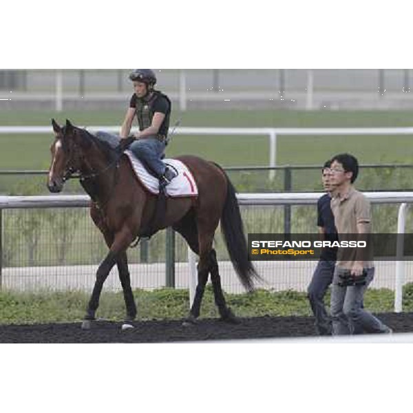 Transcend during morning track works at Meydan Dubai, 28th march 2012 ph.Stefano Grasso